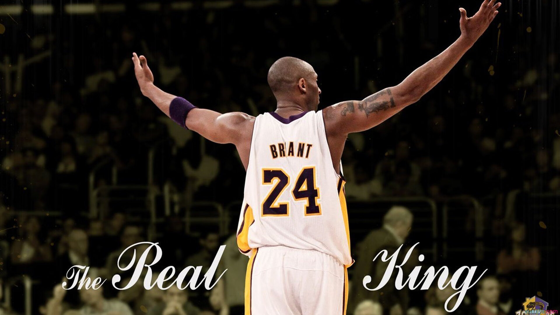 篮网雄鹿激战之夜，爱德华兹刷新纪录的传奇时刻